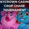 Crop Chase Tournament at SkyCrown Casino