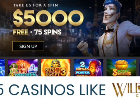 Top 5 Casinos Like Wild Card City