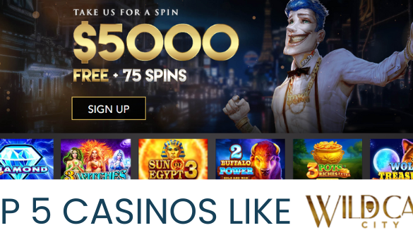 Top 5 Casinos Like Wild Card City