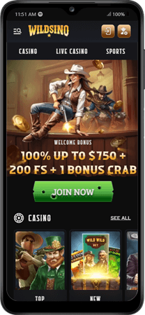 Wildsino Mobile Casino
