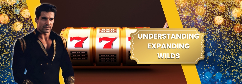Understanding Expanding Wilds in Online Pokies