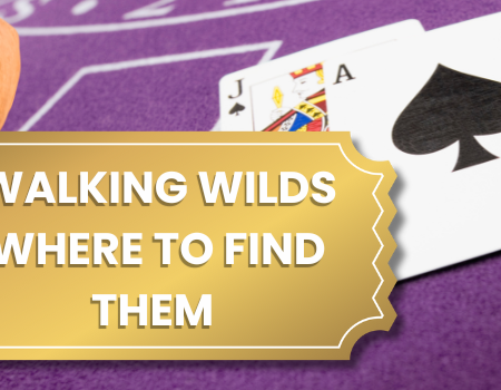 Walking Wilds: Magical Guide to Wandering Wins